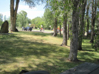 picnic in Dayton WY city park (3)